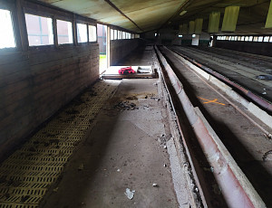 Rekonstrukce haly výkrmu prasat